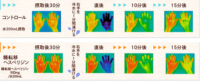 冷却試験前後の手の皮膚温の変化