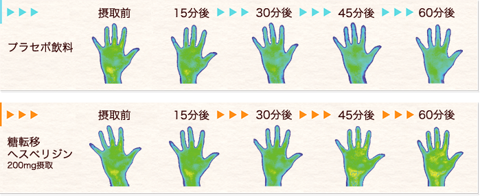 レーザードップラー血流計で測定した血流量の手の皮膚温の変化