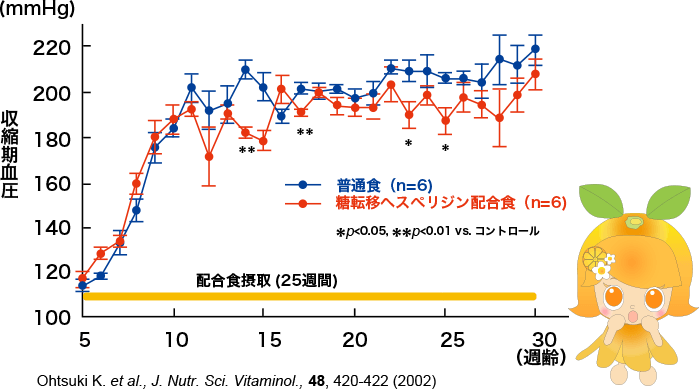 高血圧ラットの血圧値の変化