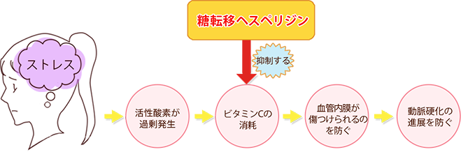 ストレスとビタミンCの消耗