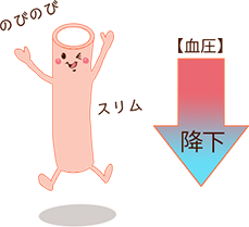 血圧上昇抑制作用のしくみ