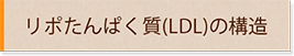 リポたんぱく質（LDL）の構造